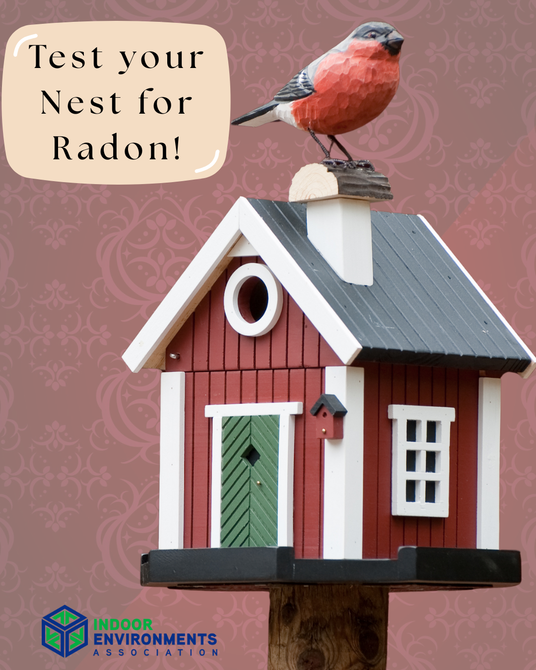 NRAM 2026 Testy our nest with bird